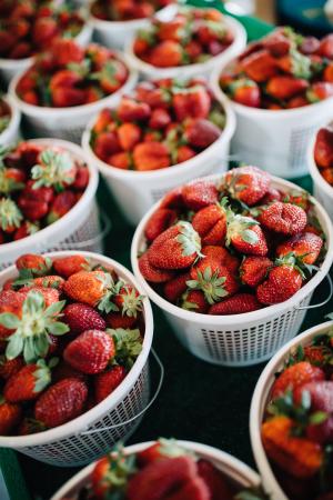满筐的草莓